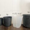 11.5" Large Clear Pots for Monstera, Philodendrons, Anthuriums, Houseplants