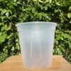 11.5" Large Clear Pots for Monstera, Philodendrons, Anthuriums, Houseplants