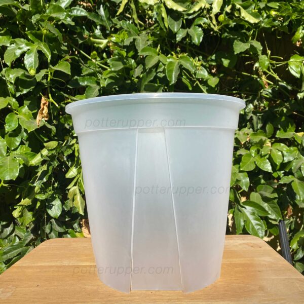11.5" Large Clear Pots for Monstera, Philodendrons, Anthuriums, Houseplants