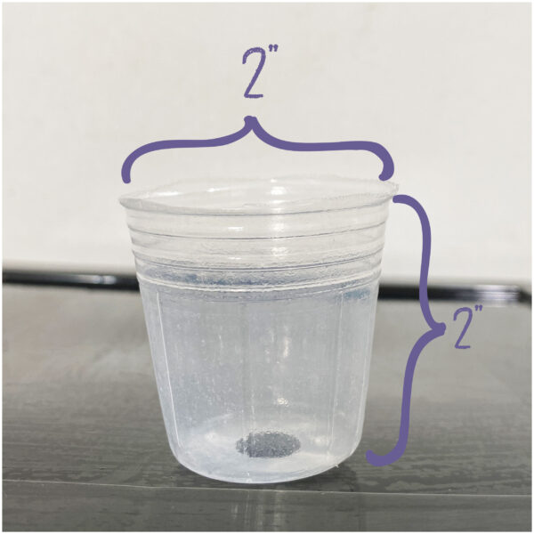 2" Soft Clear Pots for Seedlings, Propagation, Stater Plants, Houseplants, Aroids, Hoyas, Philodendrons, Monsteras, Alocasias