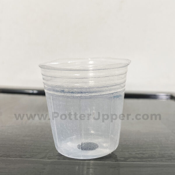 2" Soft Clear Pots for Seedlings, Propagation, Stater Plants, Houseplants, Aroids, Hoyas, Philodendrons, Monsteras, Alocasias