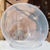 9" Clear Transparent Pots for Aroids, Philodendrons, Hoyas, Houseplants