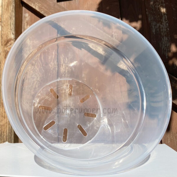 9" Clear Transparent Pots for Aroids, Philodendrons, Hoyas, Houseplants