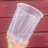 7" Clear Transparent Pots, with Side Vents, Anti-Spiral Pots for Houseplants