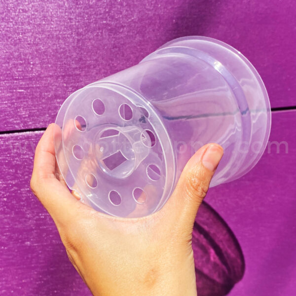 4.5" Clear Transparent Pots for Houseplants, Philodendrons, Aroids, Pack of 10