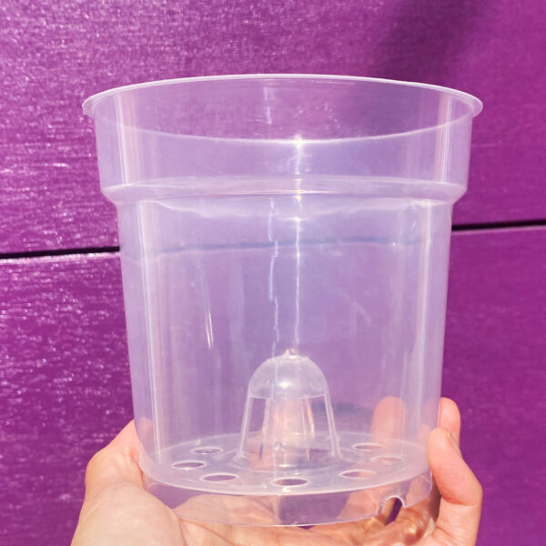 4.5" Clear Transparent Pots for Houseplants, Philodendrons, Aroids, Pack of 10
