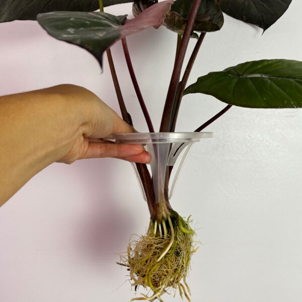 4" Hydropnic Cone, Single Hole Plant Holder