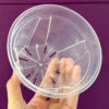 4" Clear Anti-Root Spirl, Transparent Pots for Houseplants, Philodendrons, Aroids