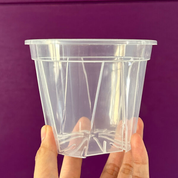 4" Clear Anti-Root Spirl, Transparent Pots for Houseplants, Philodendrons, Aroids