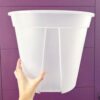 12.5" Large Clear Pots for Monstera, Philodendrons, Anthuriums, Houseplants